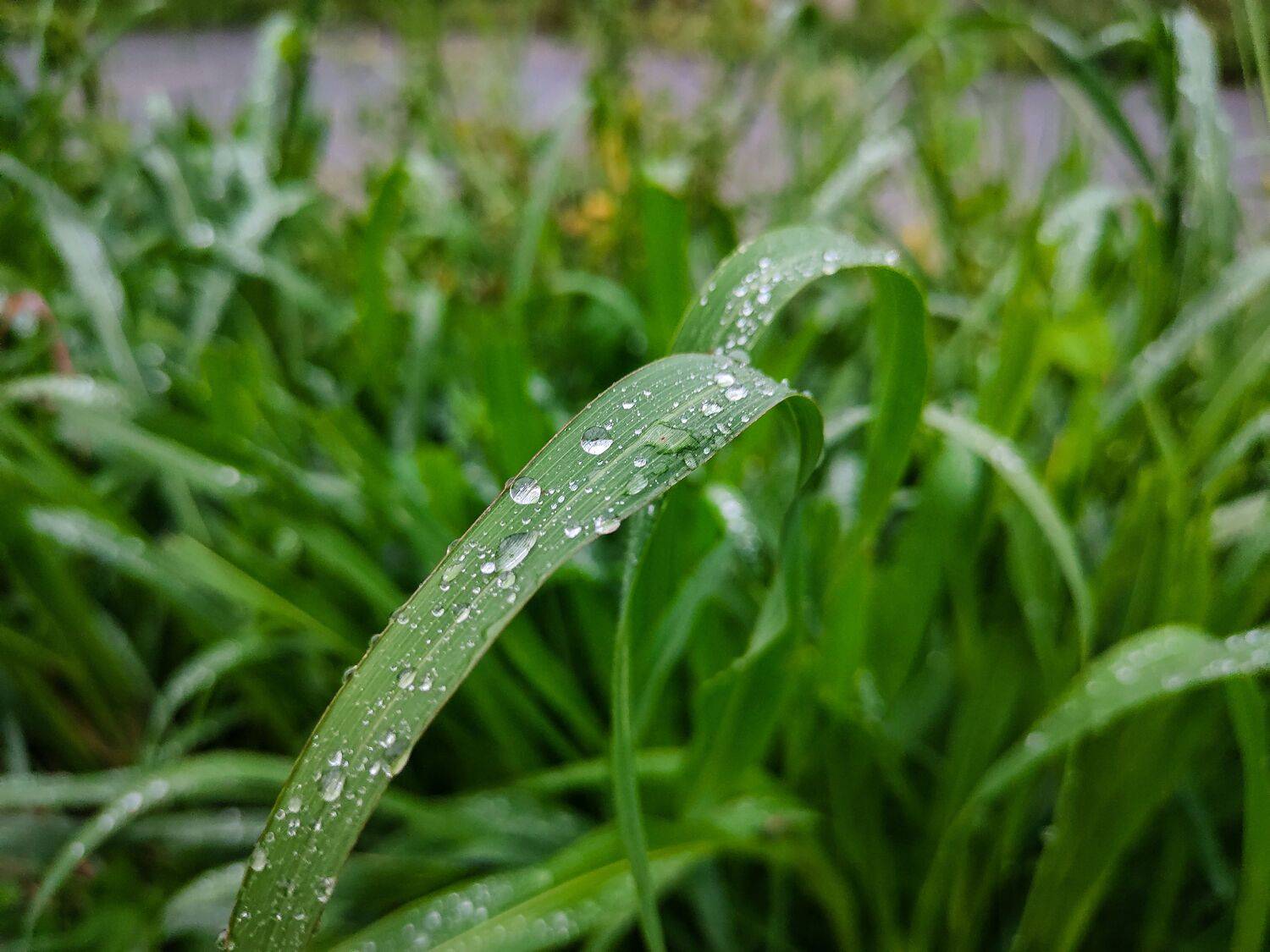 Perfect Surface