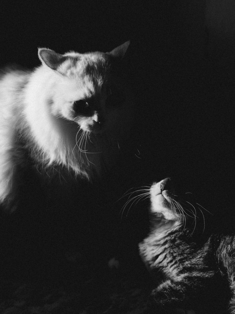 Photograph by Янина Рейфер