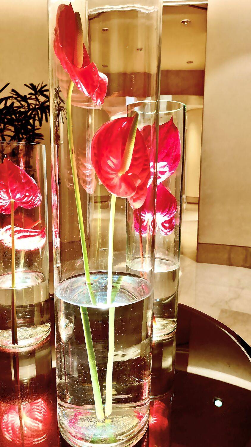 Artificial flower in water