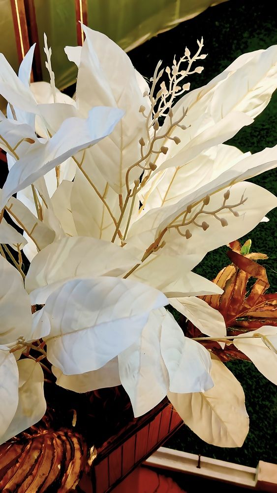 Photo #13617240