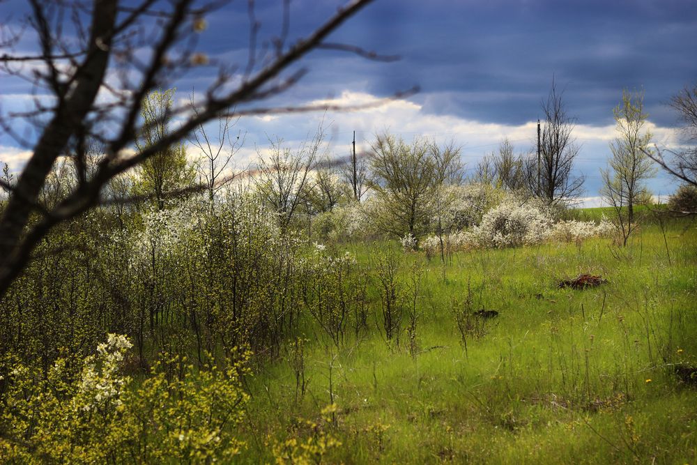 Photograph by АЛЛА ТАРАСЕНКО