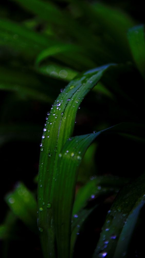 Photograph by Дарья Боева