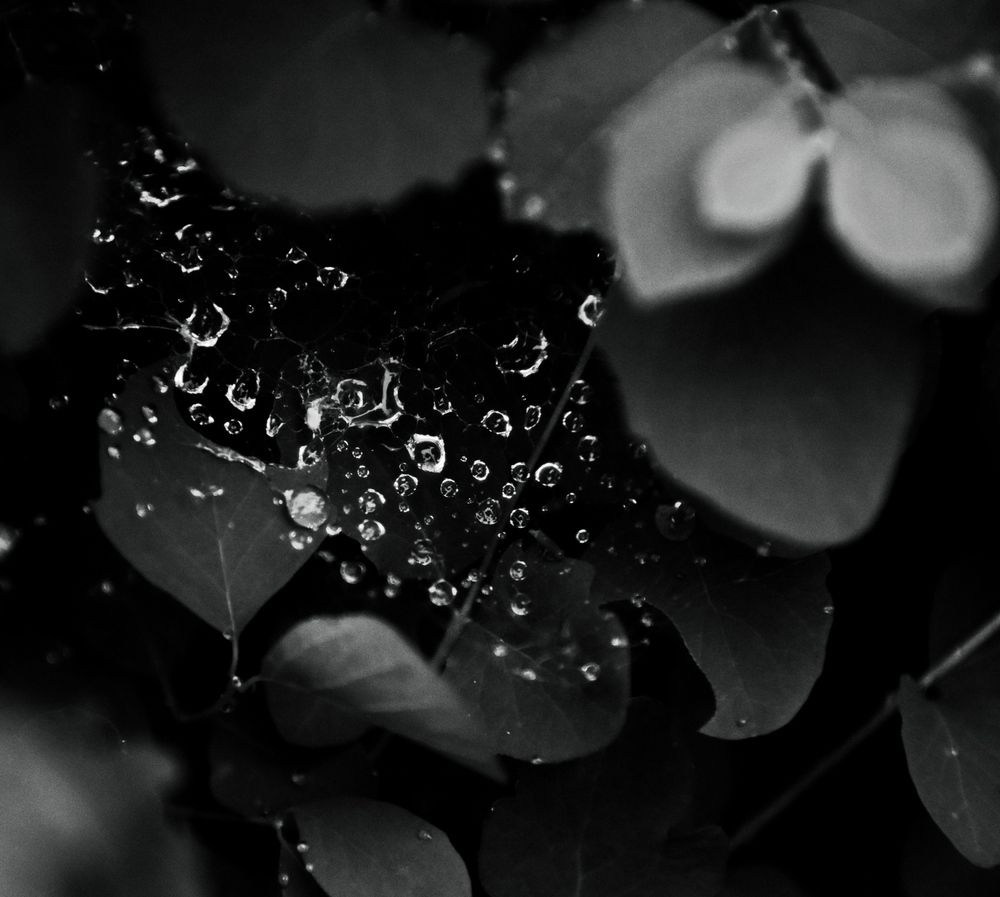 Photograph by Дарья Боева