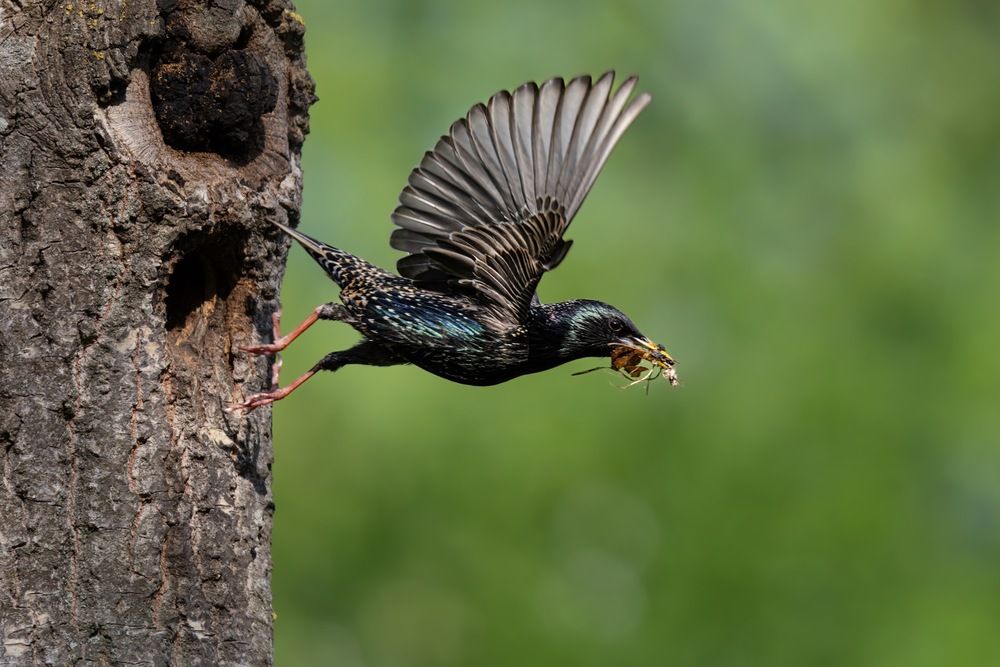 Photograph by Ruslan Pl