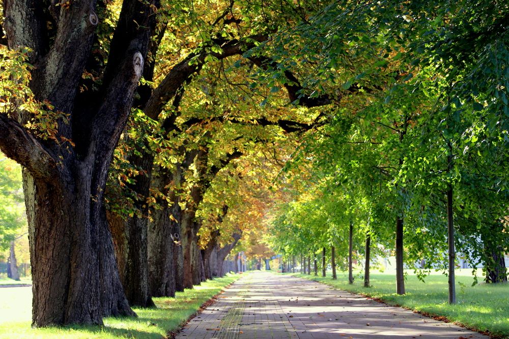 Photograph by Алексей Макаров