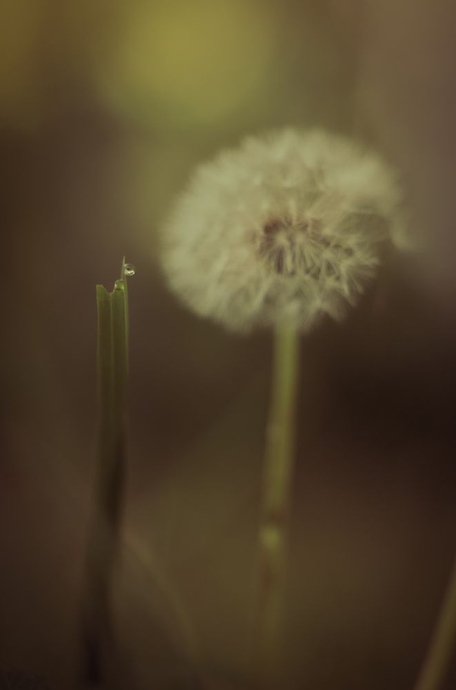 Photograph by Boyana Borisova