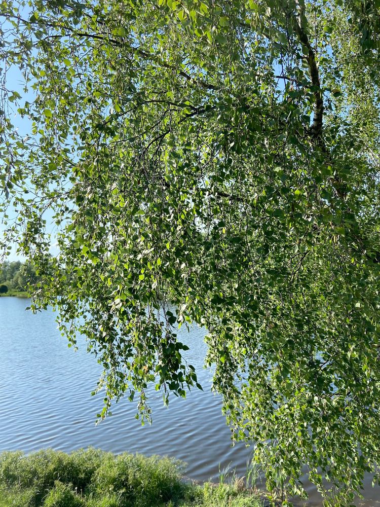 Photograph by Елена