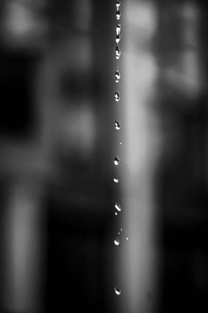 Photograph by Boyana Borisova