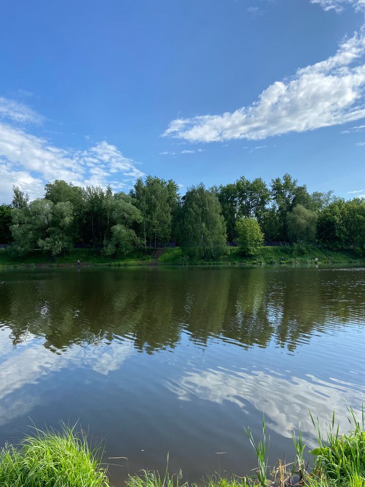 Photograph by Елена