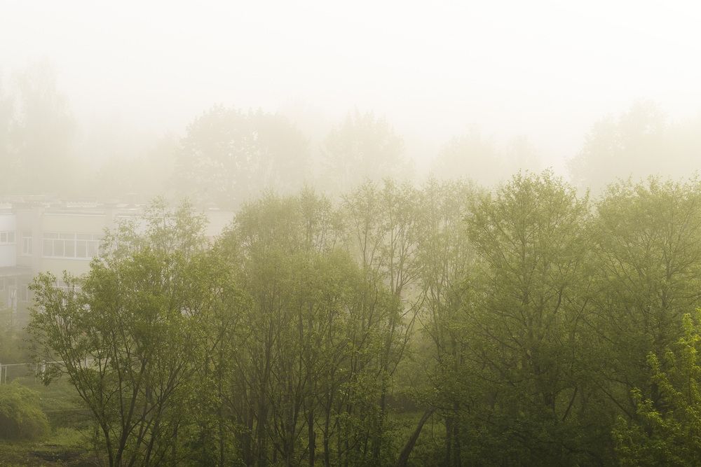 Photograph by Екатерина Свиридова