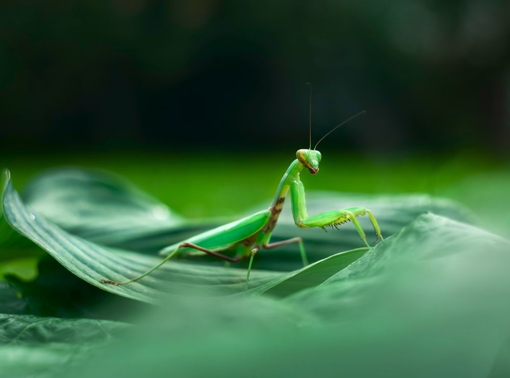 Photograph by Юлия Яремко