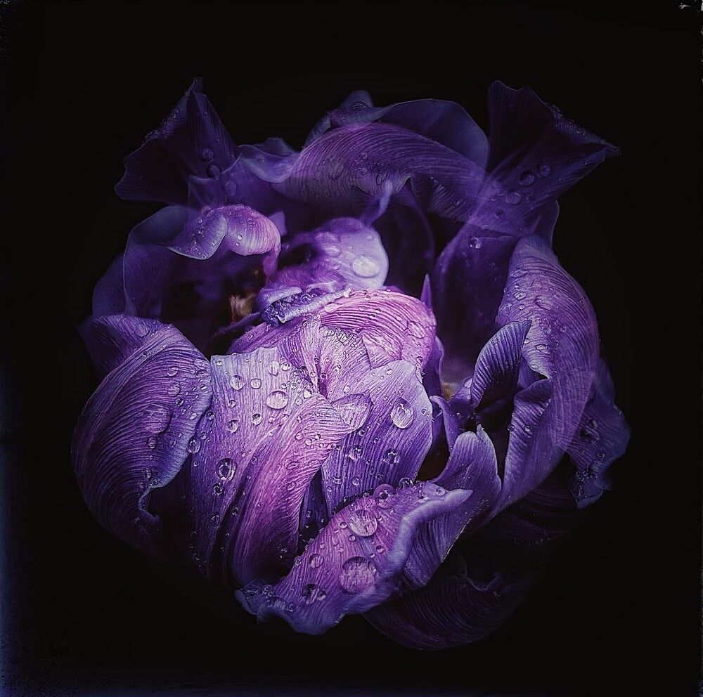 Photograph by Iuliia Akhulkova