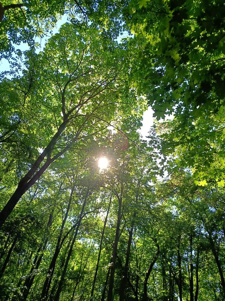 Photograph by Альбина Рамилевна