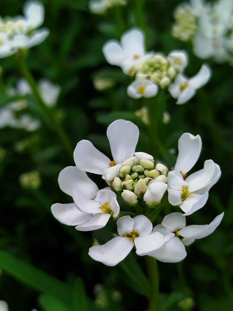 Photograph by Наталья Назаренко