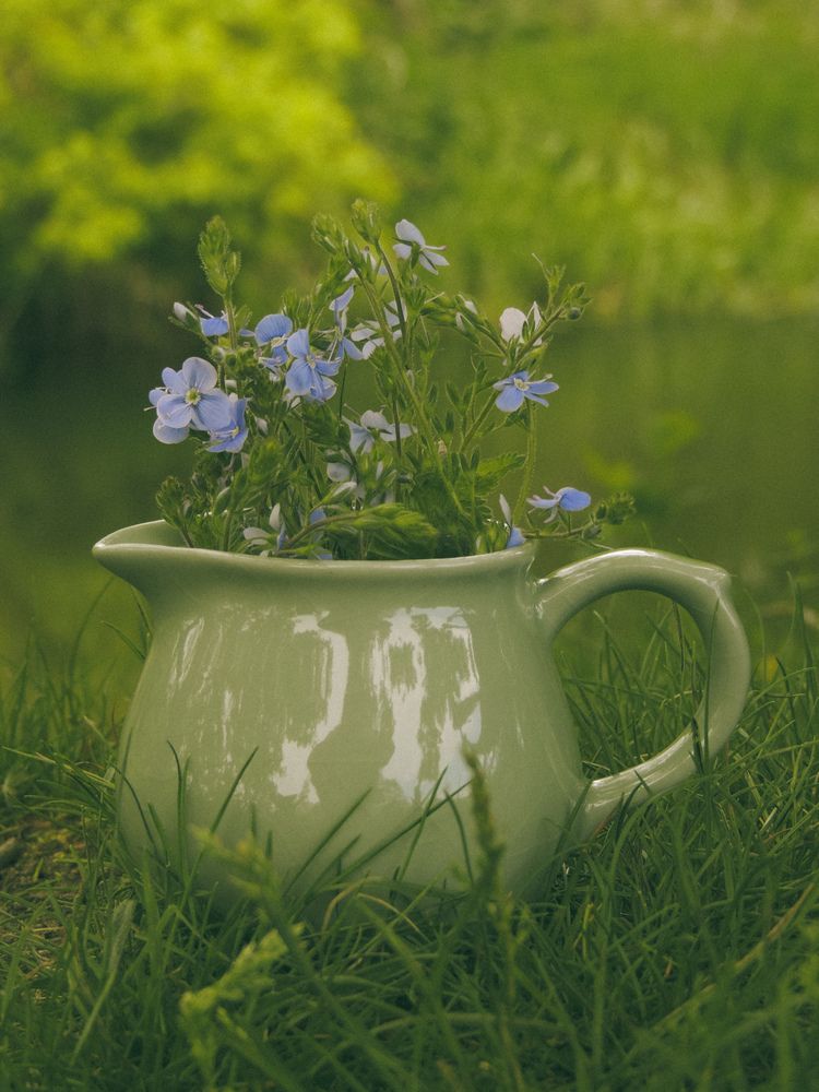 Photograph by Игорь Сухаревич