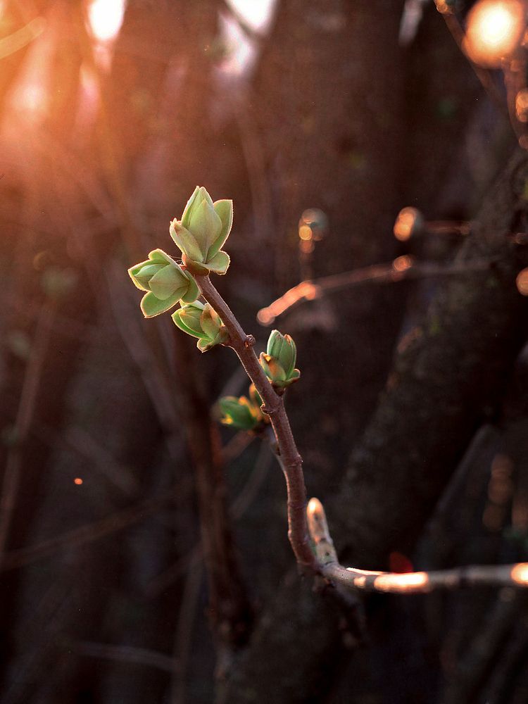 Photograph by Дмитрий Александрович