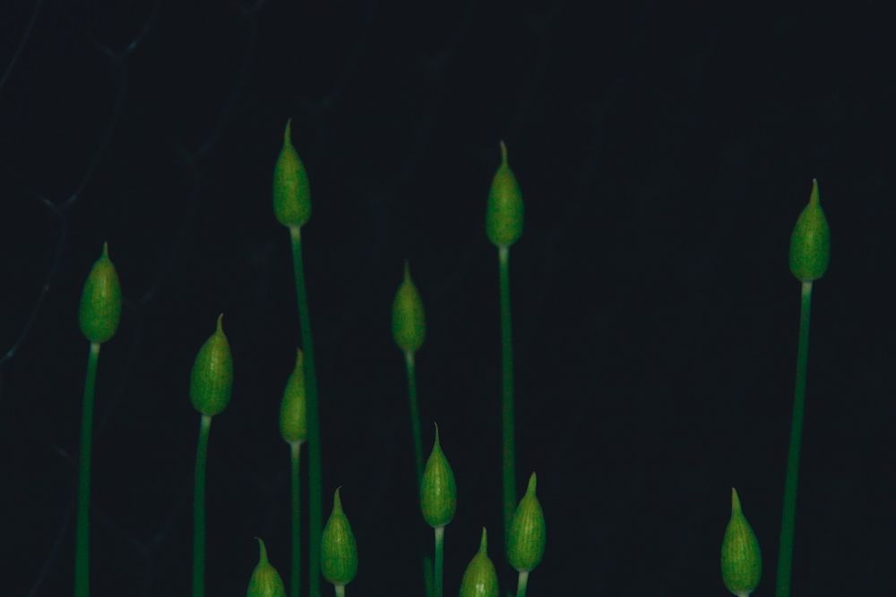 Photograph by Ксения Тишина