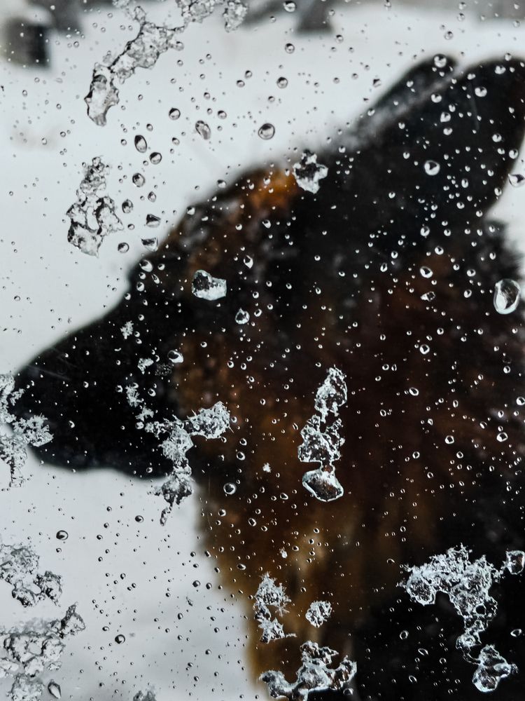 Photograph by Наталья Веряскина