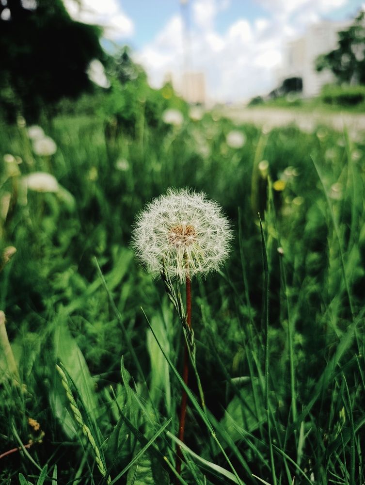 Photograph by Ксения Тишина