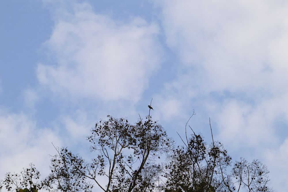 Photograph by Chauhan Dhruv