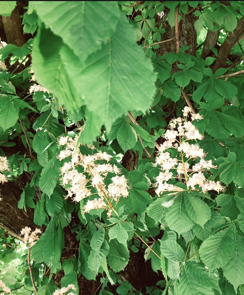 Photograph by Евгения Лещева