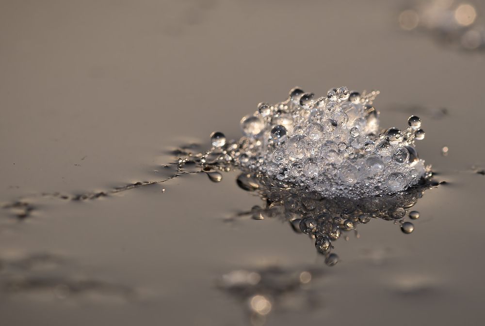 Photograph by Wendy Vanhoudt