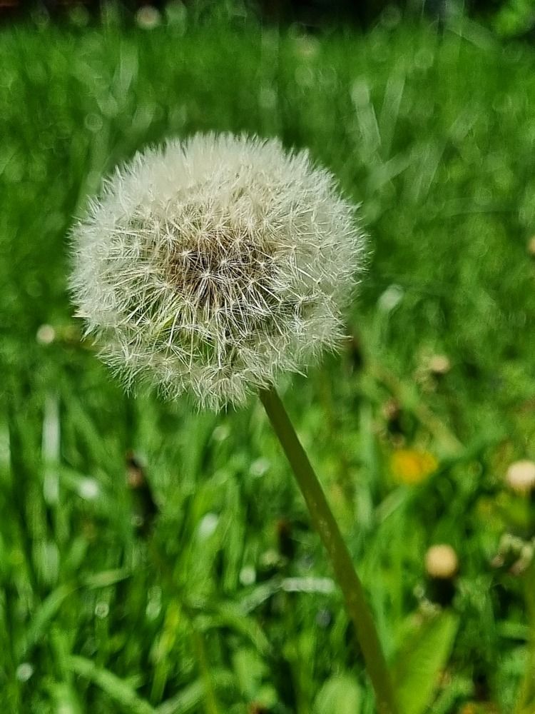 Photograph by Людмила Кухарева