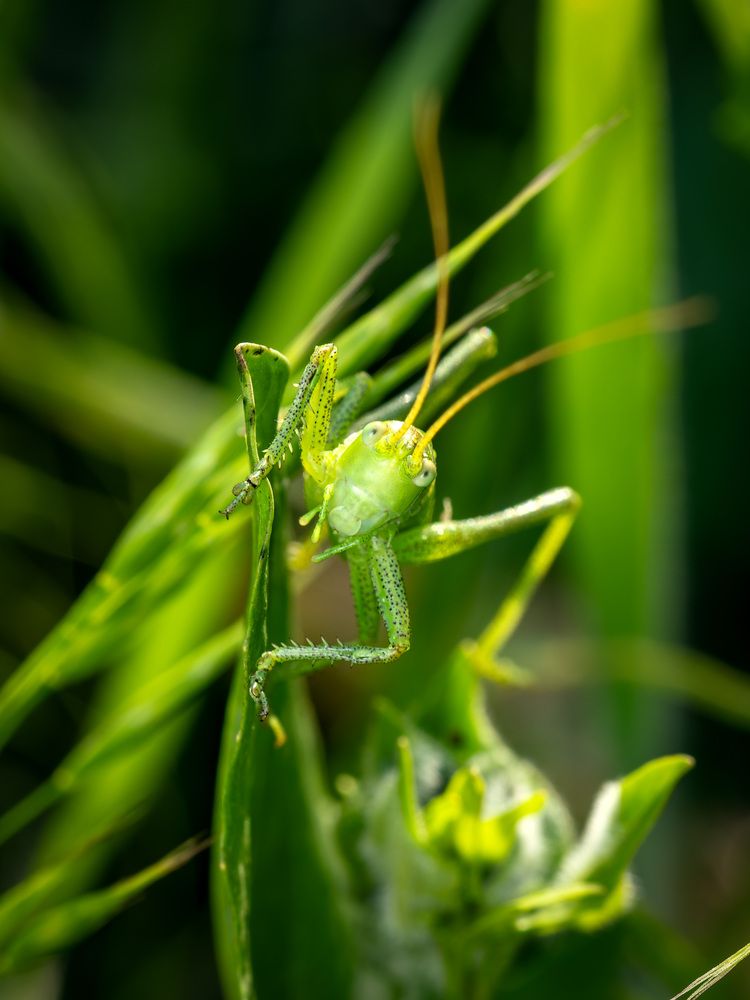 Photograph by Денис Лобов