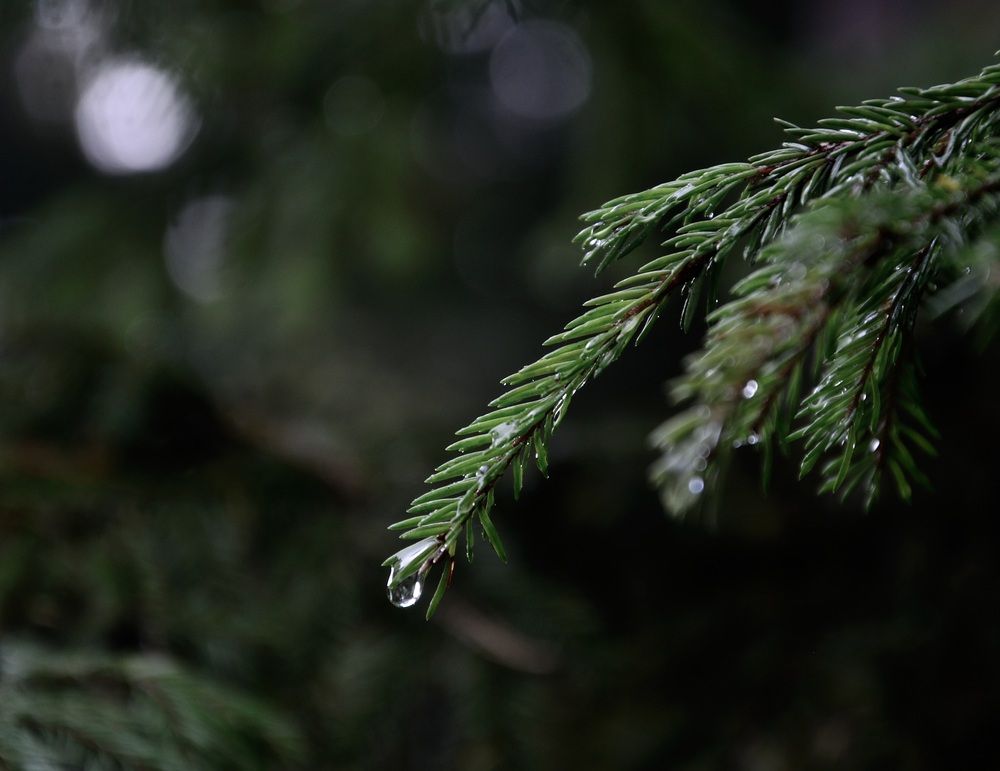 Photograph by Андрей Куликов