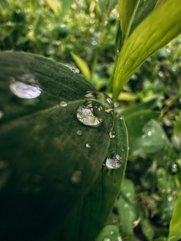 Photograph by Анастасия Короленко