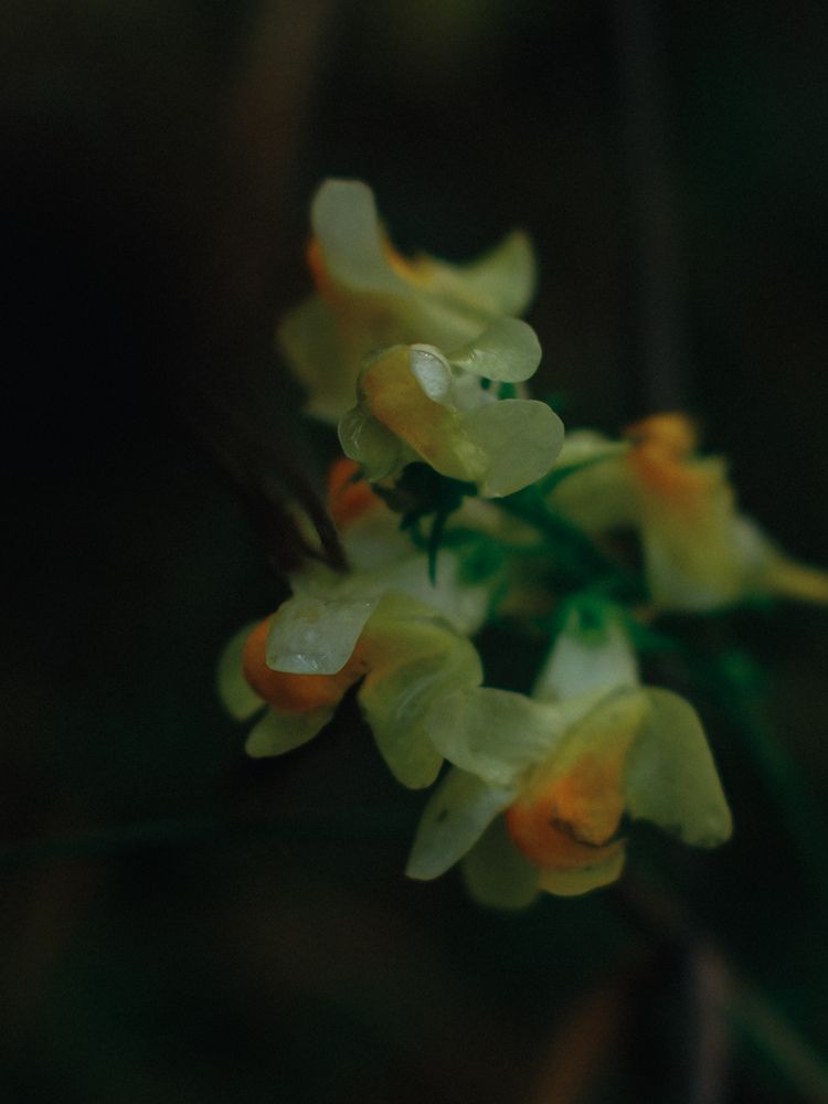 Photograph by Анастасия Короленко