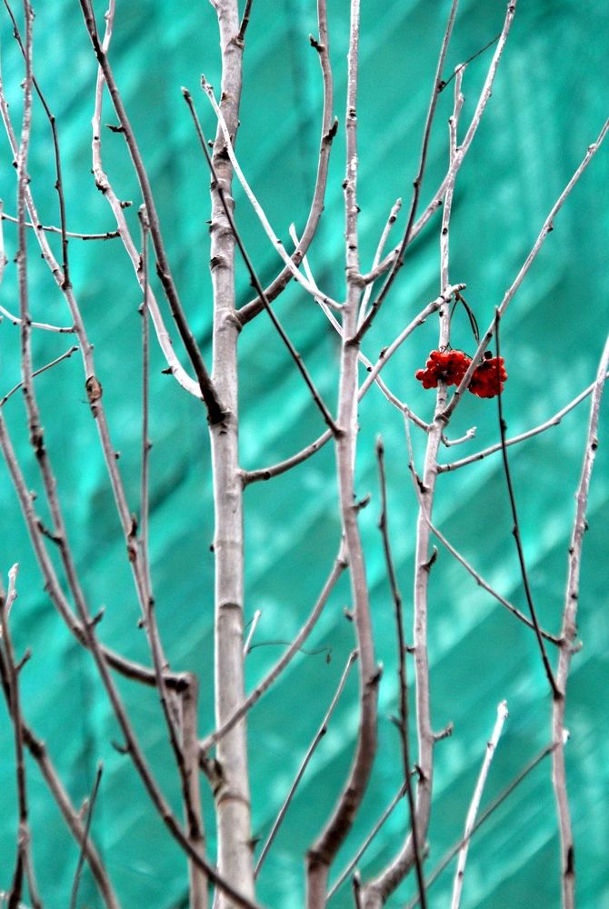 Photograph by Оксана Лоншакова