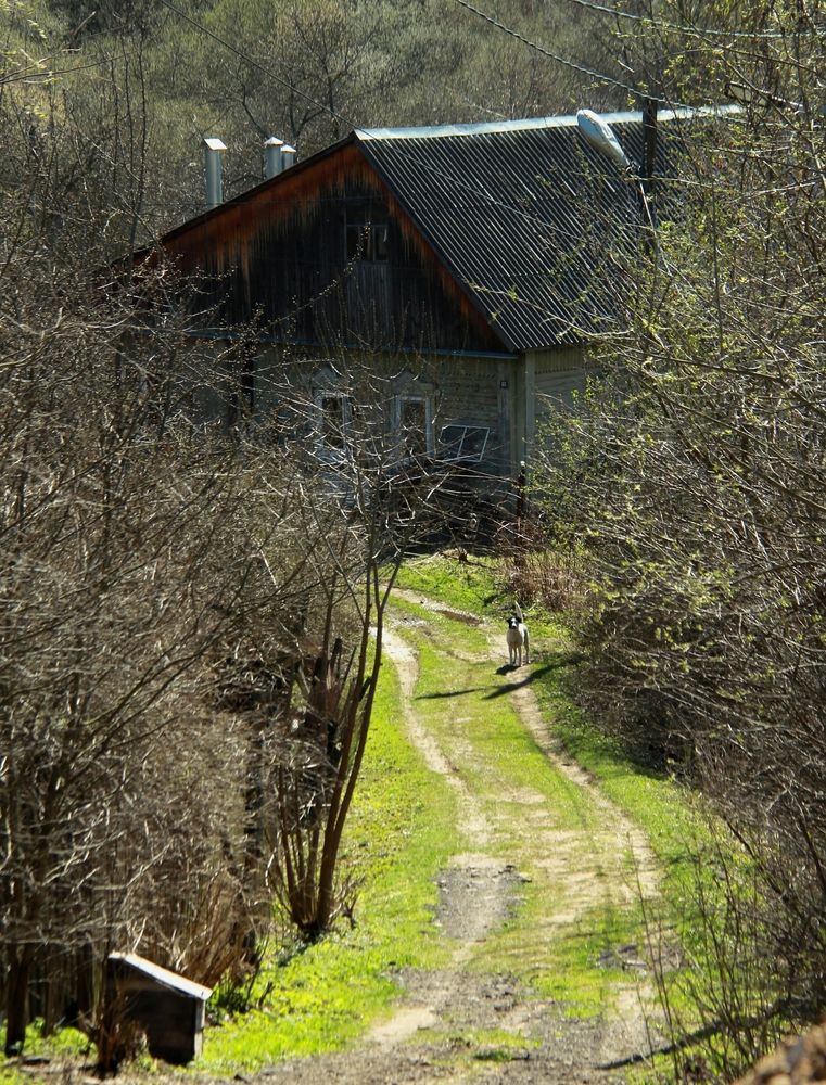 Photograph by Оксана Лоншакова