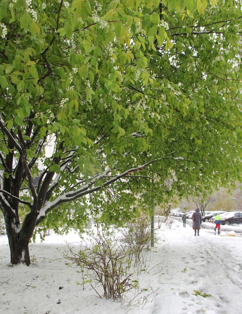 Photograph by Оксана Лоншакова