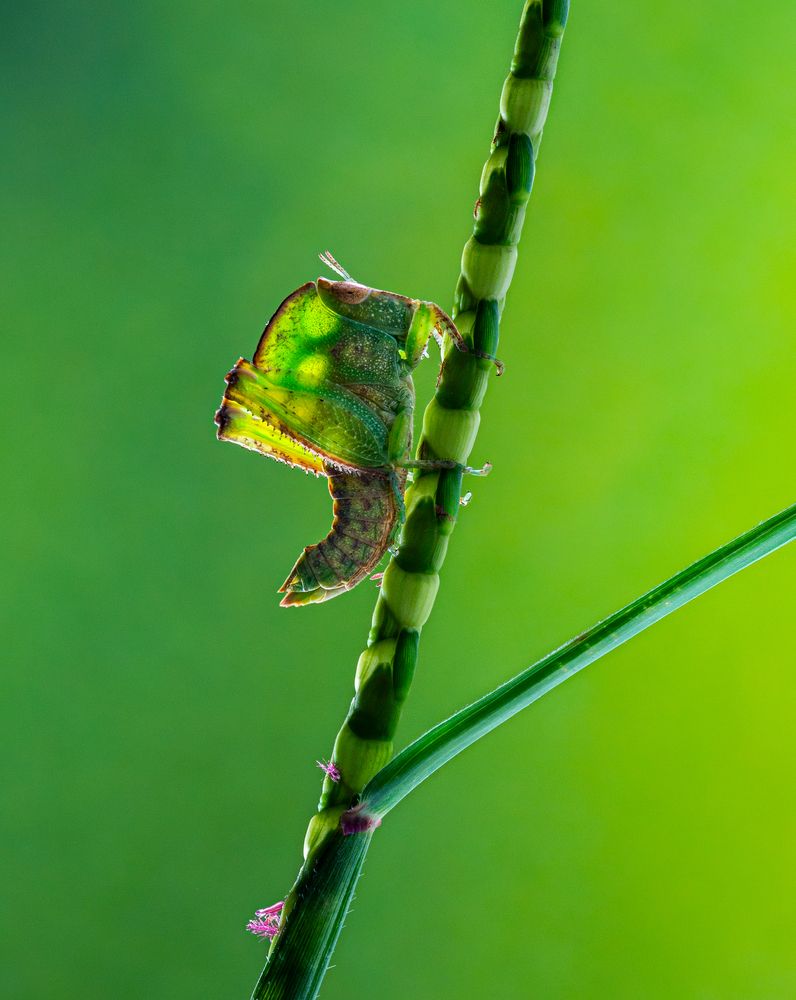 Photograph by Xích Lô
