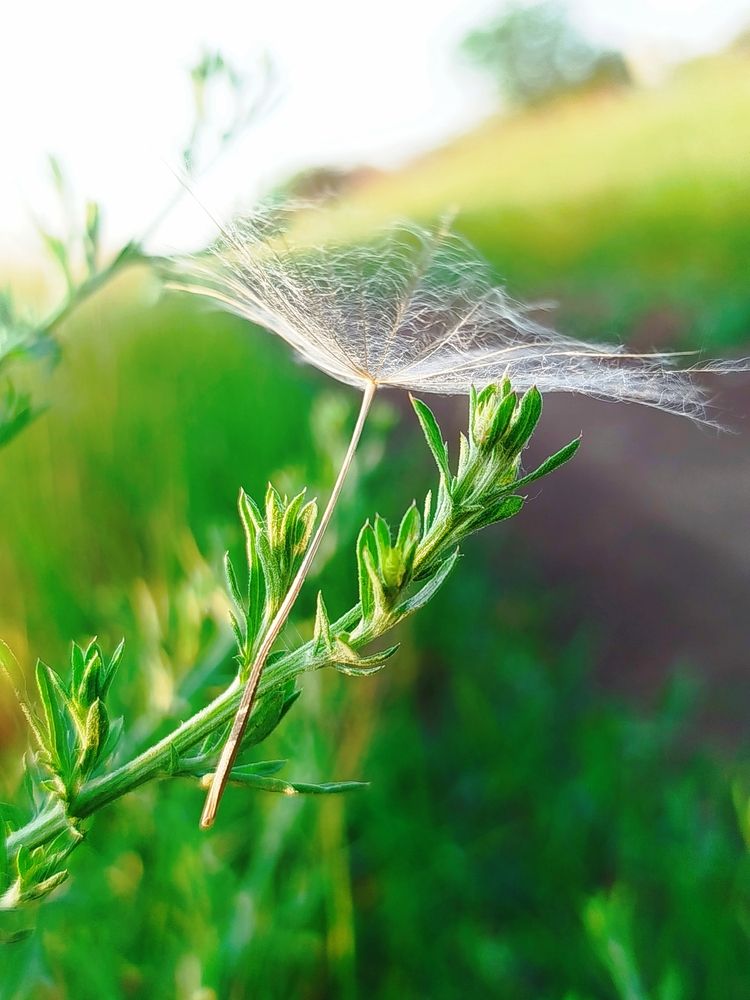 Photograph by Наталья Назаренко