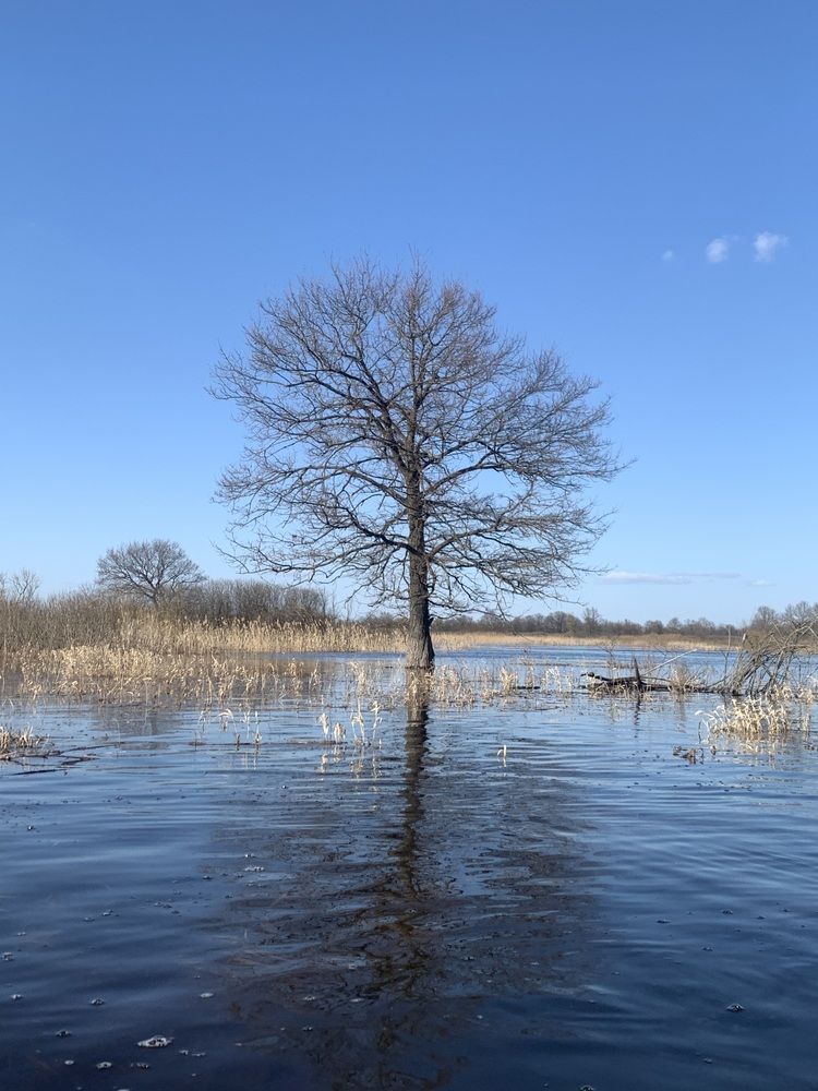 Photograph by Ирина Шпаковская