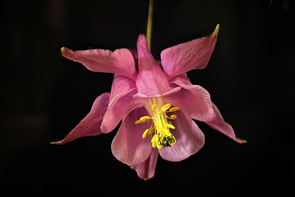 Photograph by Сергей Прокофьев