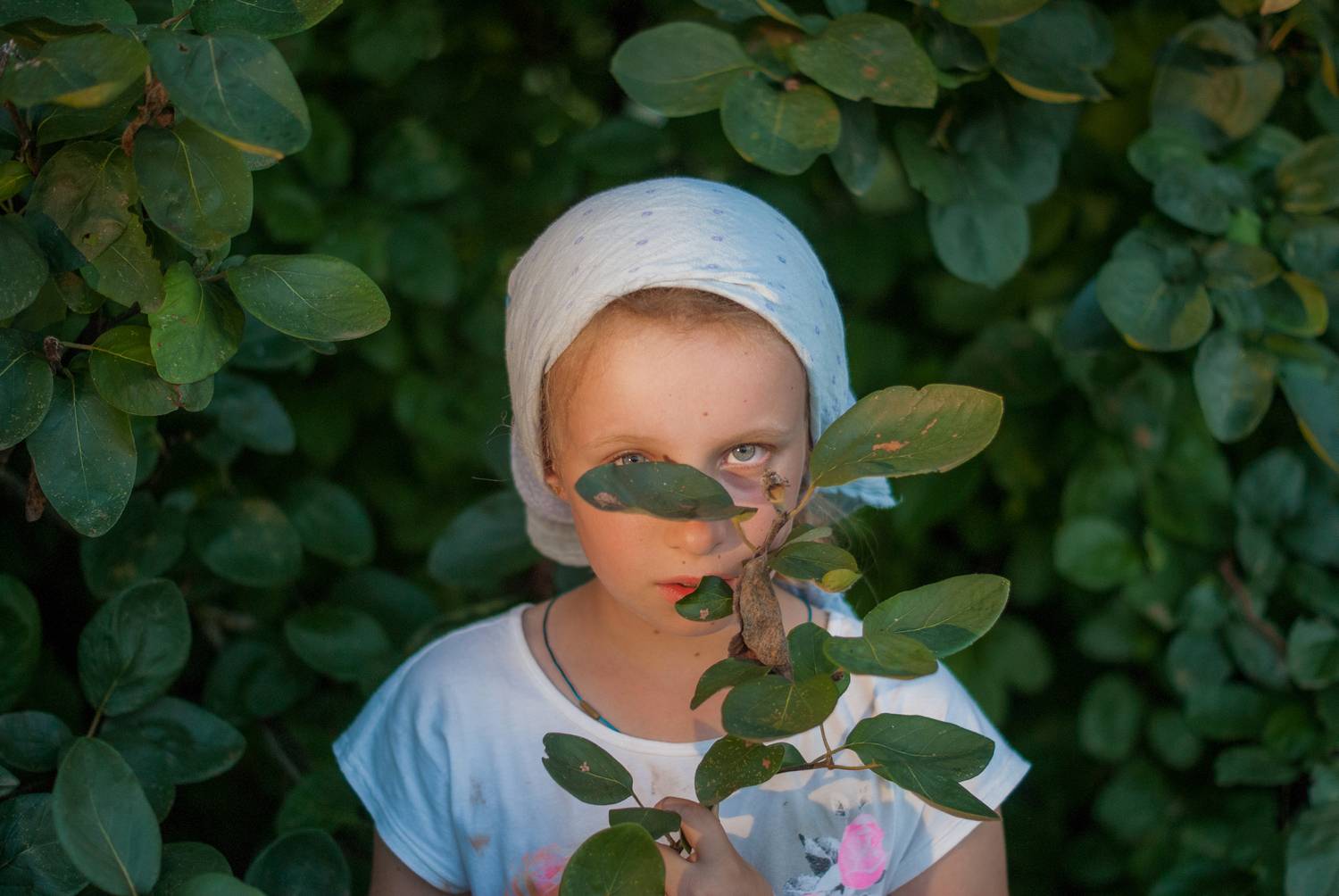 Photo #13618638