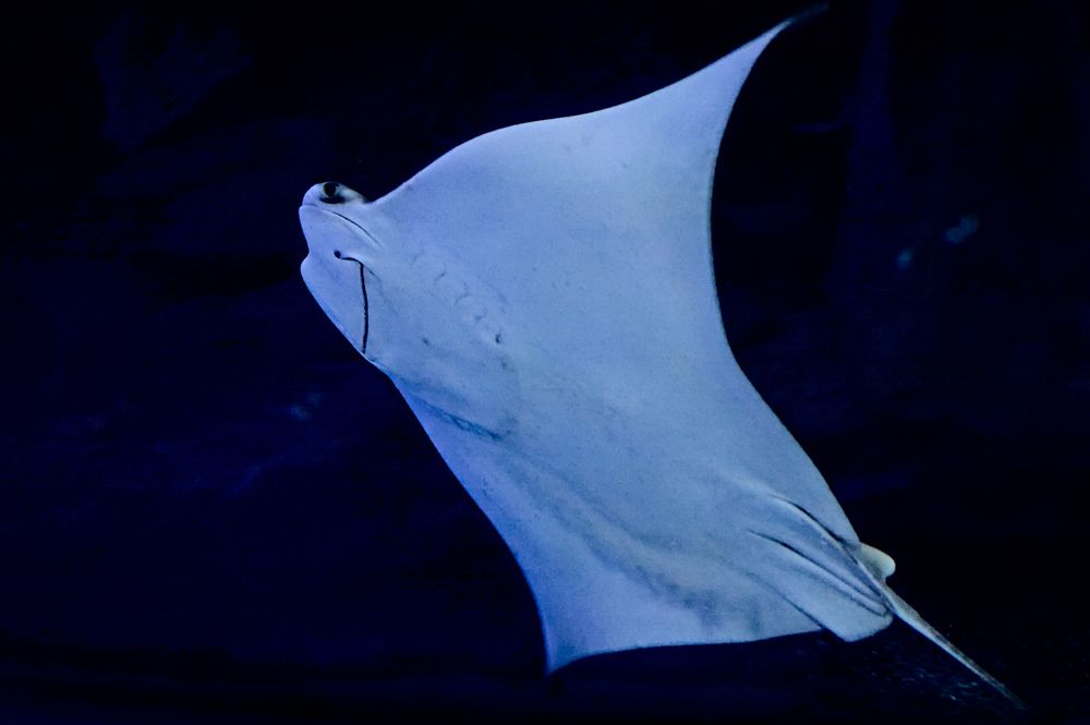 Photograph by Евгений Козлов