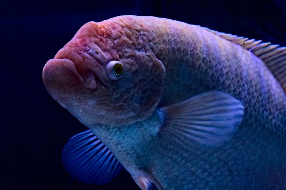 Photograph by Евгений Козлов