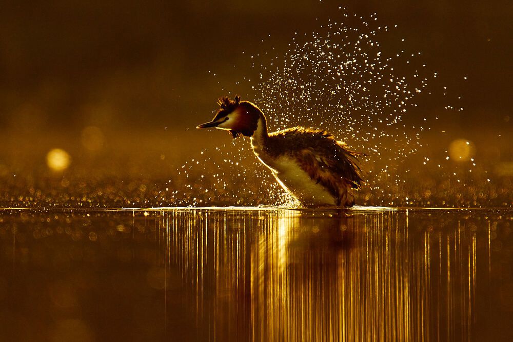 Photograph by Mikhail Khmelevskiy