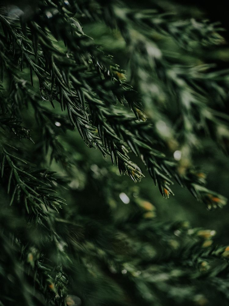 Photograph by Александра