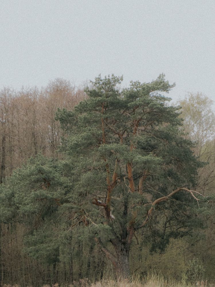 Photograph by Александра