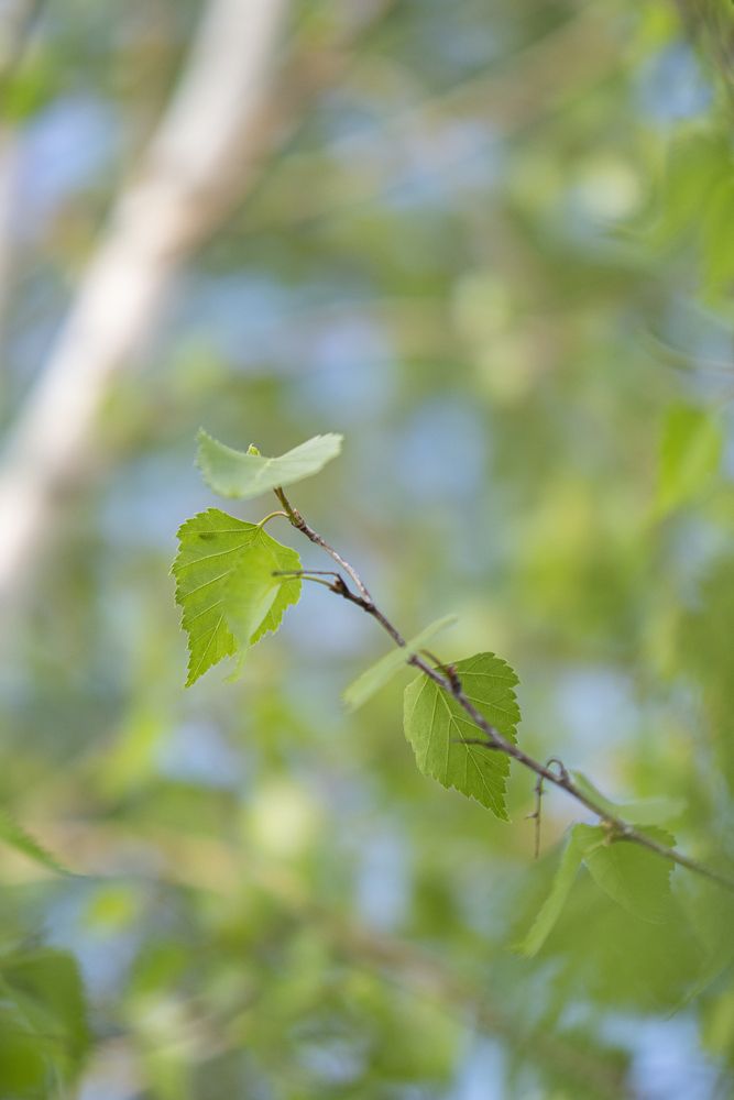 Photograph by Доляна Горохова