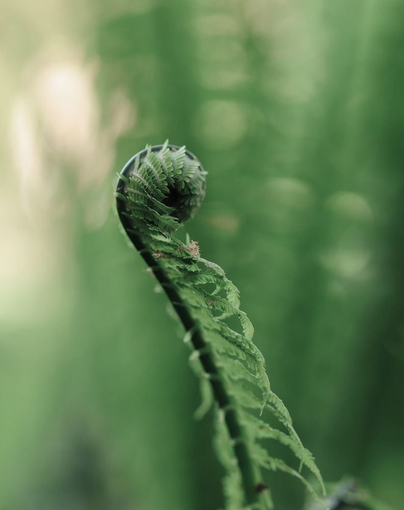 Photograph by Светлана Сергеева