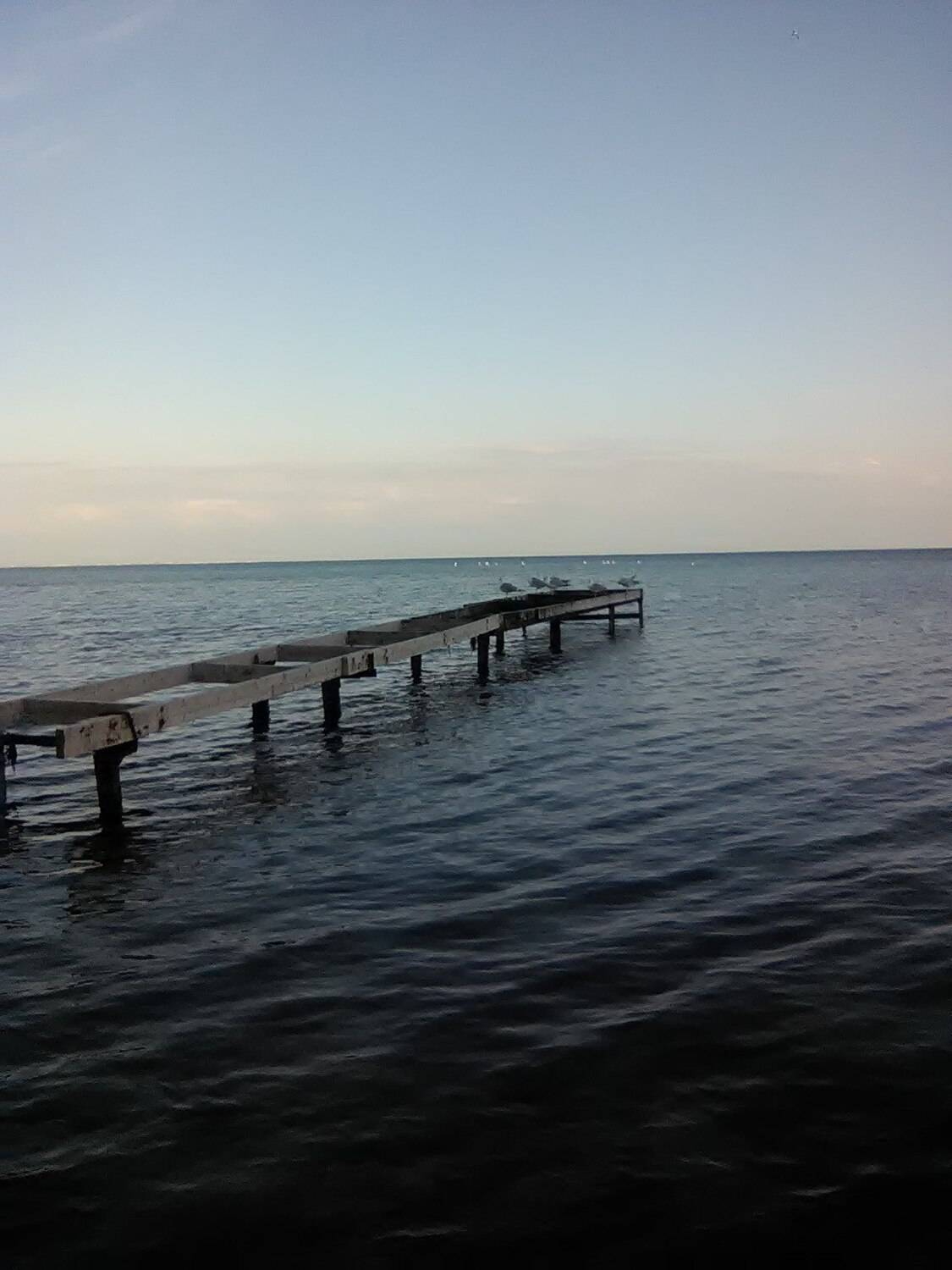 Photo #13618743