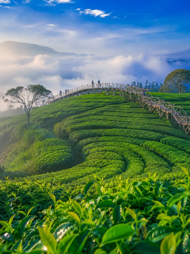 Photograph by Edi Hidayat