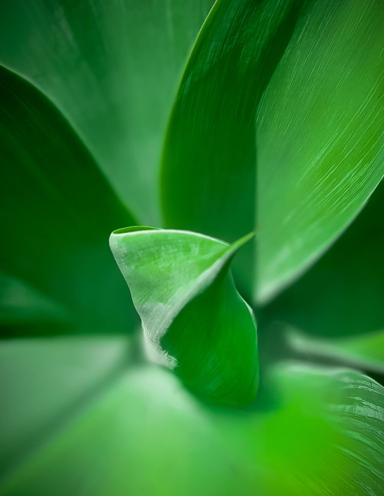 Фотография автора Edi Hidayat