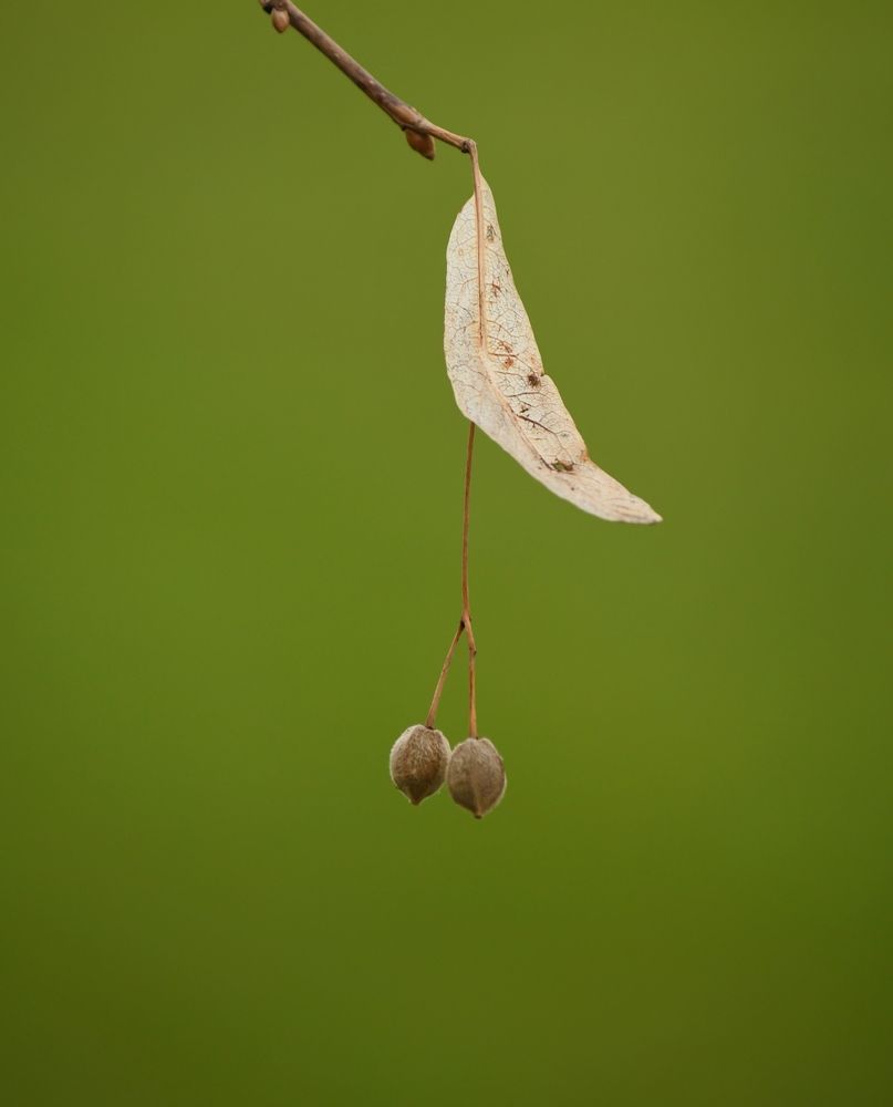 Photograph by Евгений Климов